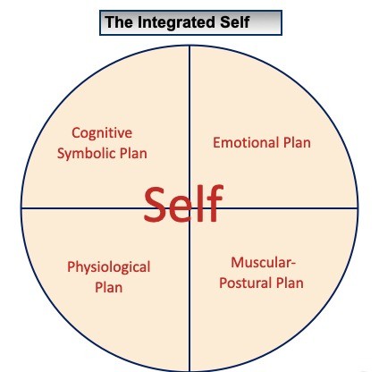 Integrated Mental Training 